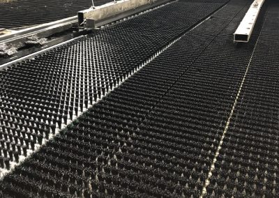 Salvagnini Brush Conveyor Belt
