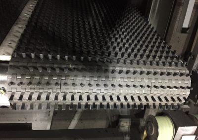 Salvagnini Brush Conveyor Belt